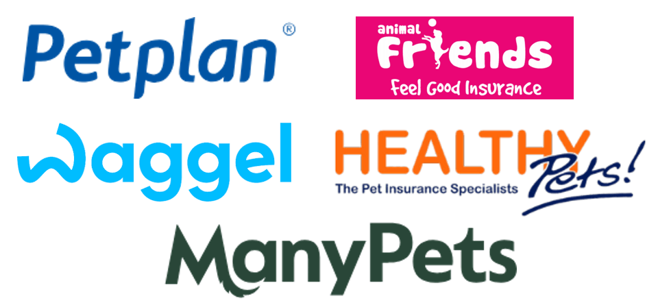 UK Pet Insurance Digital Marketing Benchmark Report Q3 2024 uk-pet-insurance-digital-marketing-benchmark-report-q3-2024